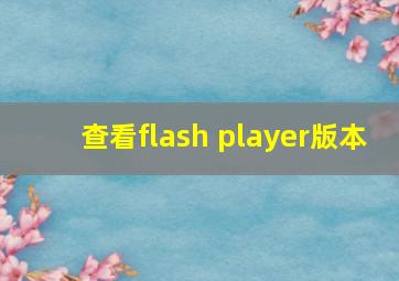 查看flash player版本